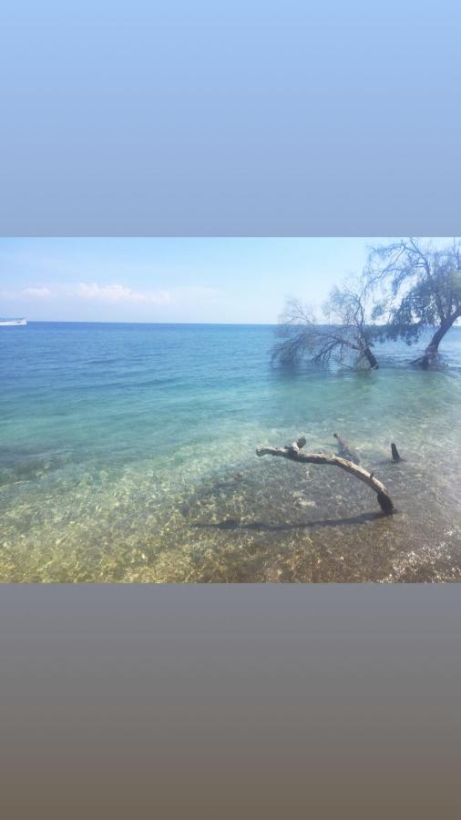 Maleo Moyo Hotel & Dive Resort Moyo Island Εξωτερικό φωτογραφία