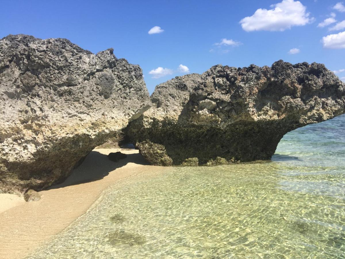 Maleo Moyo Hotel & Dive Resort Moyo Island Εξωτερικό φωτογραφία