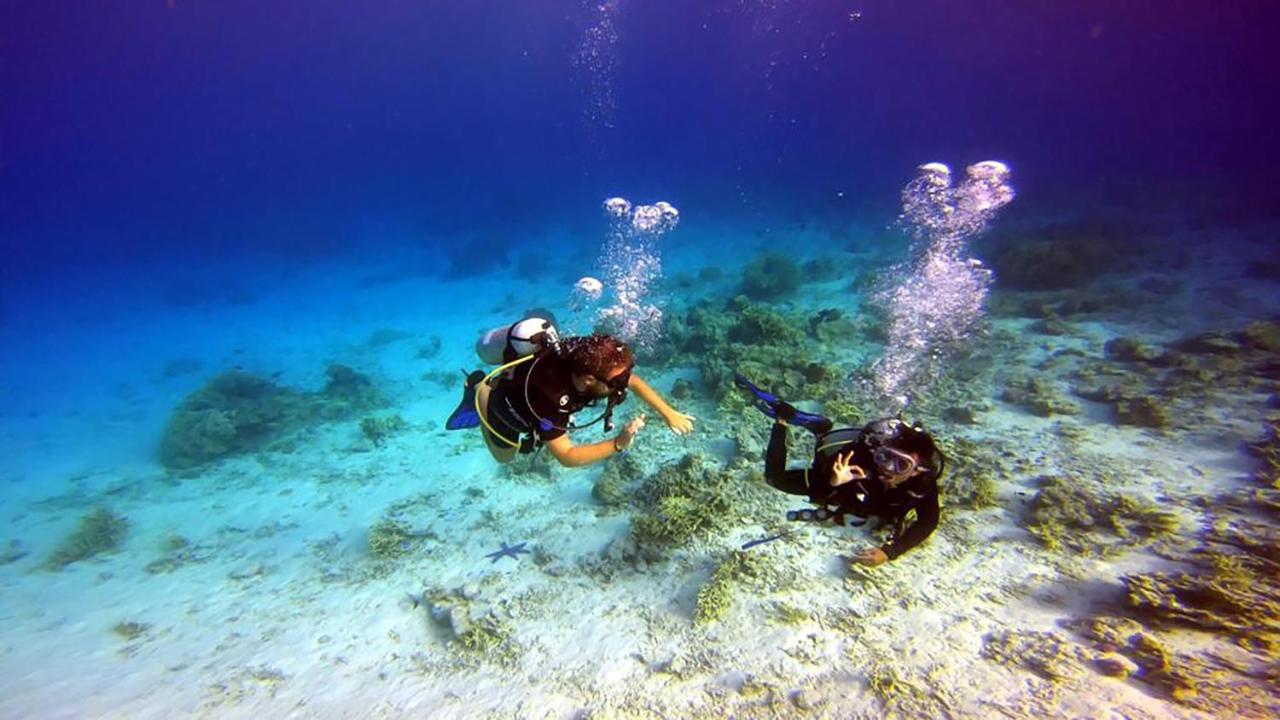 Maleo Moyo Hotel & Dive Resort Moyo Island Εξωτερικό φωτογραφία